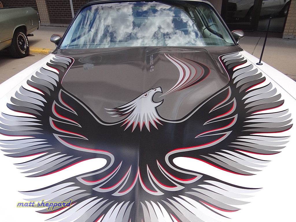 Rods & Hogs - More pixs by Matt Sheppard at Facebook - Like Us! 